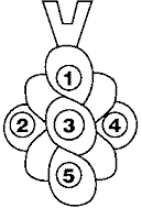 Custom set mothers jewelry placement diagram.